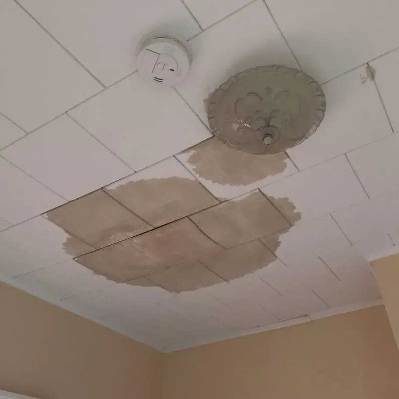 Ceiling Water Damage Repair in Tipton, IN