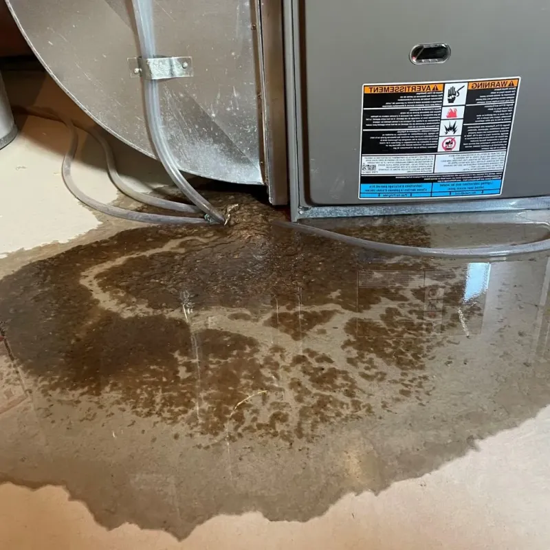 Pipe Burst and Leak Restoration in Tipton, IN