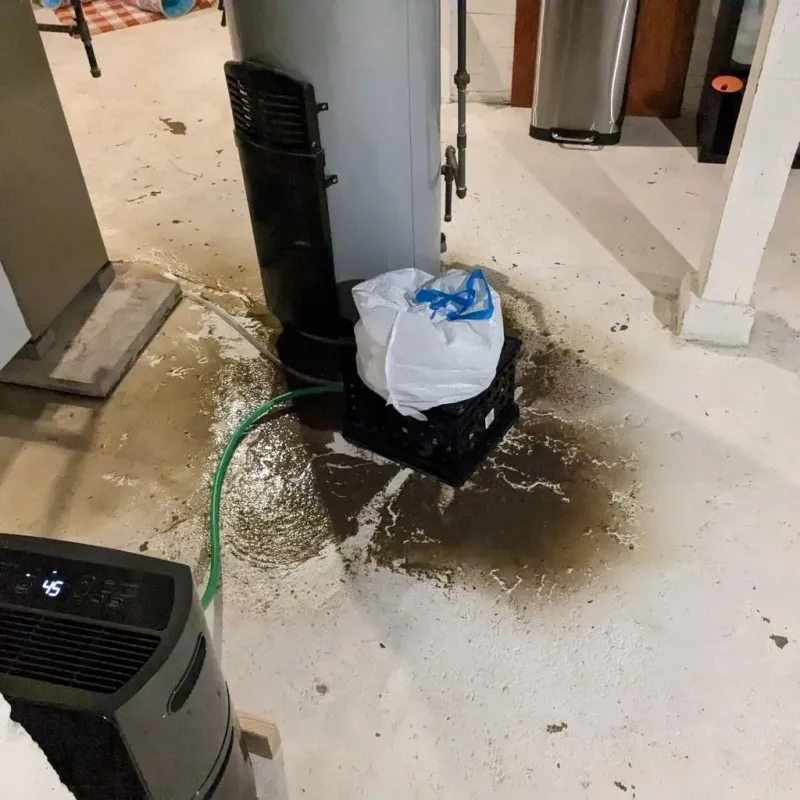 Sewage Backup Cleanup Service in Tipton, IN